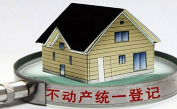 新彩网app官网不动产登记信息管理系统解决方案